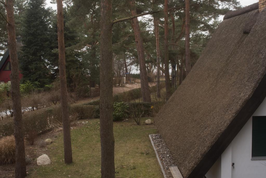 Reetdach-Ferienhaus In Quilitz Rankwitz Extérieur photo